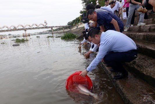 Đồng Tháp: Thả hơn 3,5 tấn cá giống xuống sông Sở Thượng