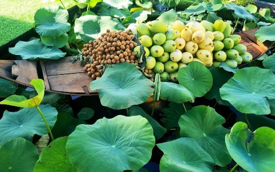 Hơn 200 sản phẩm nông sản được giới thiệu trong diễn đàn Mekong Startup 2022