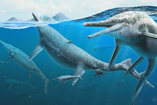 Bãi hóa thạch bí ẩn ở Nevada có thể là ‘nhà hộ sinh’ của thằn lằn cá