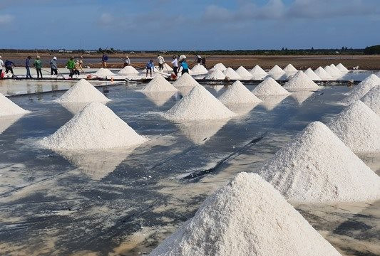 Bạc Liêu: Gỡ khó cho hạt muối Đông Hải