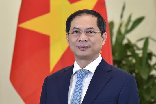 Phê bình nghiêm khắc Bộ trưởng Ngoại giao Bùi Thanh Sơn