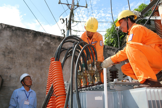 Tổng công ty Điện lực miền Nam đảm bảo cung cấp điện cho người dân vui xuân đón Tết