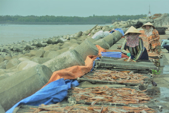 Bạc Liêu: Rộn ràng vụ khô Tết ở làng biển Gành Hào