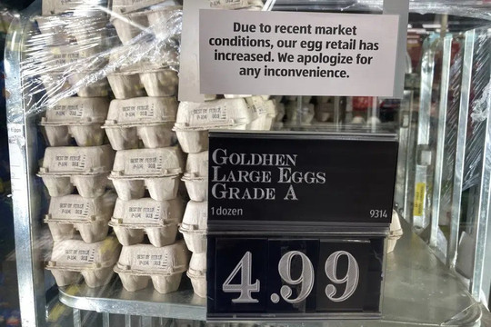 Giá trứng gà ở Mỹ tăng, gây sức ép lên người tiêu dùng