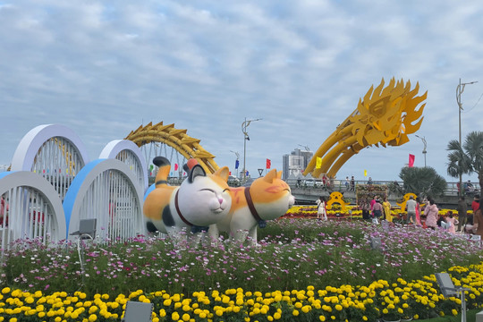 Video: Dáng xuân ở đường hoa cạnh cầu Rồng Đà Nẵng