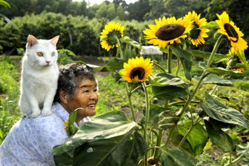 Năm Mão, cùng nhìn lại bộ ảnh về bà lão và chú mèo nổi tiếng Nhật Bản