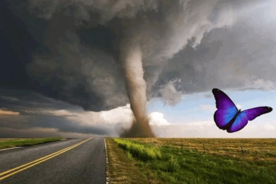 Một con bướm vỗ cánh có thể gây ra cơn bão như lời đồn hay không?