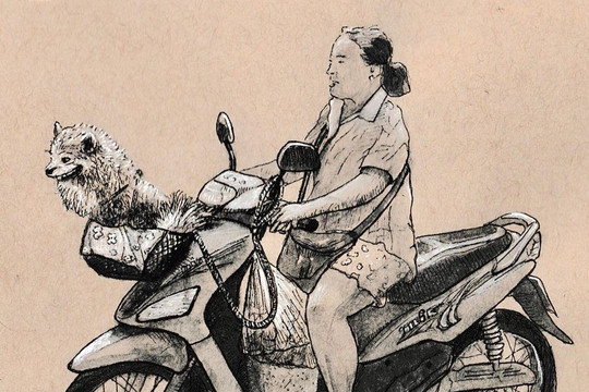 Ký họa cuộc sống đô thị Việt Nam qua góc nhìn của họa sĩ Pháp