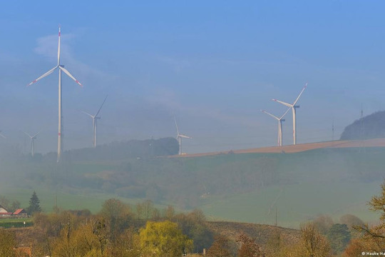Đức khai thác điện gió, nhà bảo vệ môi trường lo sợ cho rừng cổ