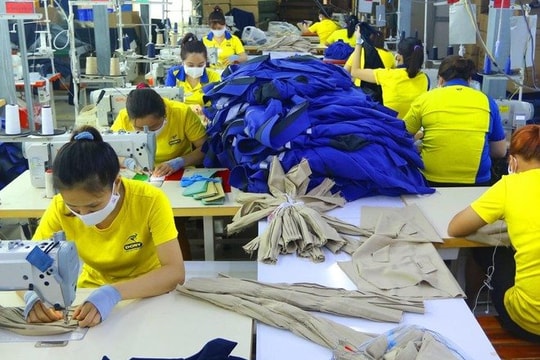 TP.HCM: 83% doanh nghiệp đang gặp khó khăn