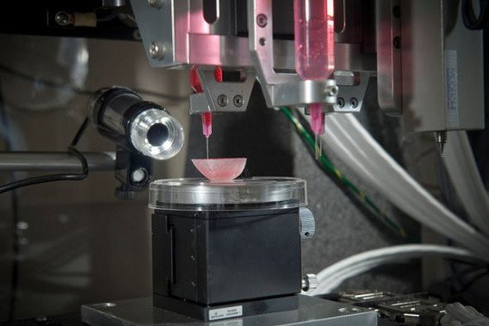 Triển vọng của công nghệ in 3D sinh học nội tạng