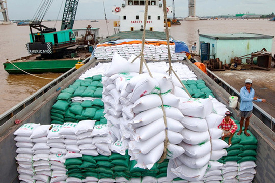Lưu ý thương nhân xuất khẩu gạo cần bám sát tình hình thị trường