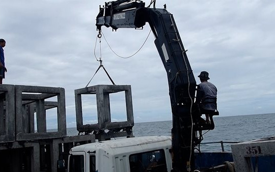 Thả rạn nhân tạo tái tạo nguồn lợi thủy sản mang lại hiệu quả cho vùng biển Cà Mau