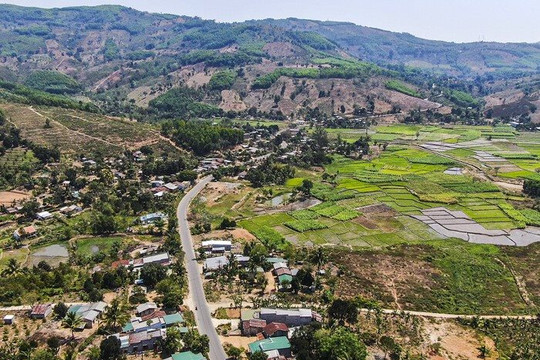 Hạn chế chuyển đổi rừng trong dự án đường liên vùng kết nối Khánh Hòa, Ninh Thuận và Lâm Đồng