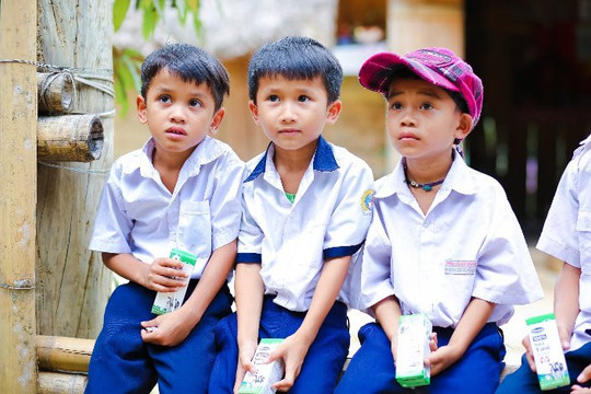 Quảng Nam: Yêu cầu Sở GD-ĐT khẩn trương triển khai chương trình Sữa học đường