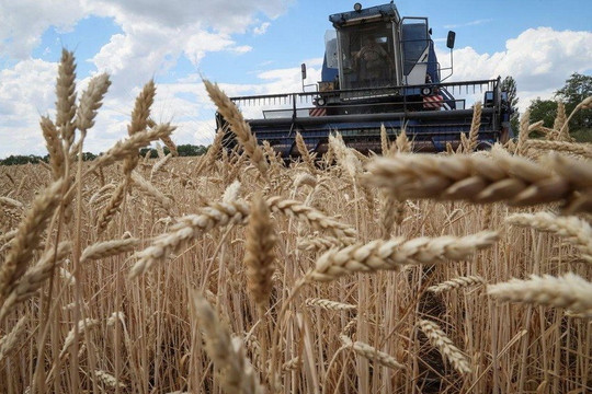 EU cấm xuất khẩu ngũ cốc Ukraine sang 5 nước Đông Âu