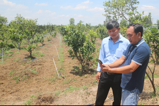 Huyện Cù Lao Dung thúc đẩy chuyển đổi số trong nông nghiệp