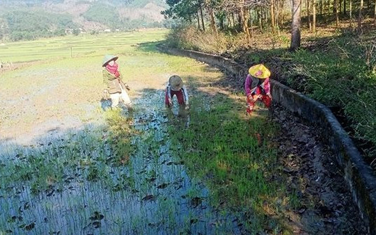 Thừa Thiên - Huế chủ động đối phó thiếu nguồn nước do nắng nóng