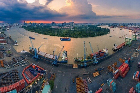 Lấy ý kiến thẩm định Dự án cảng trung chuyển quốc tế cửa ngõ Sài Gòn