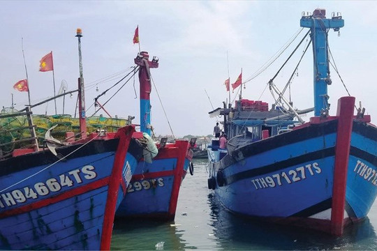 Chủ tịch tỉnh Kiên Giang bị kiểm điểm về việc tàu cá vi phạm IUU