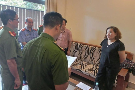 Trốn thuế hơn 3,5 tỉ đồng, một nữ giám đốc ở Đồng Nai bị bắt tạm giam