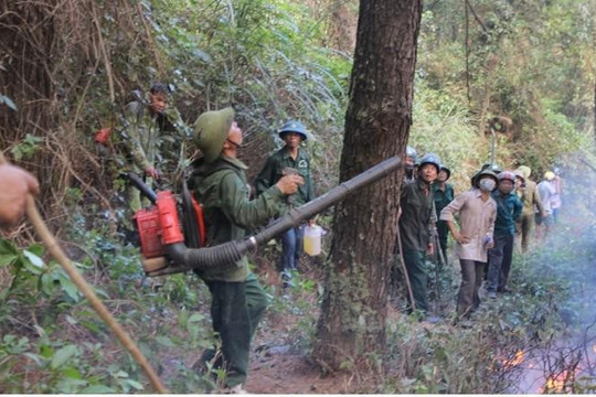 Hà Tĩnh thành lập hơn 300 tổ đội thường trực phòng chống cháy rừng