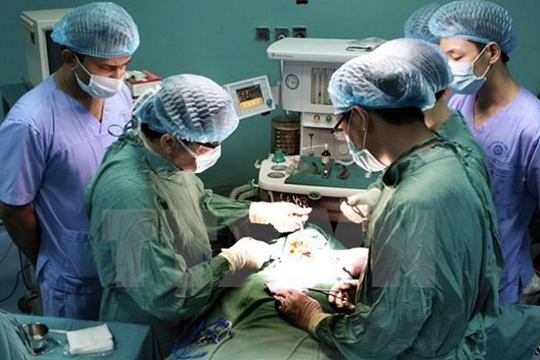 Sở Y tế TP.HCM: Bệnh viện Nhi đồng 2 vẫn tiếp tục ghép tạng cho trẻ