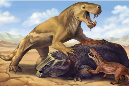 Phát hiện mới về loài thống trị Trái đất trước thời khủng long: Da voi, răng kiếm