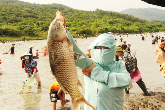 Hàng nghìn người chen nhau bắt cá trong lễ hội ở Hà Tĩnh