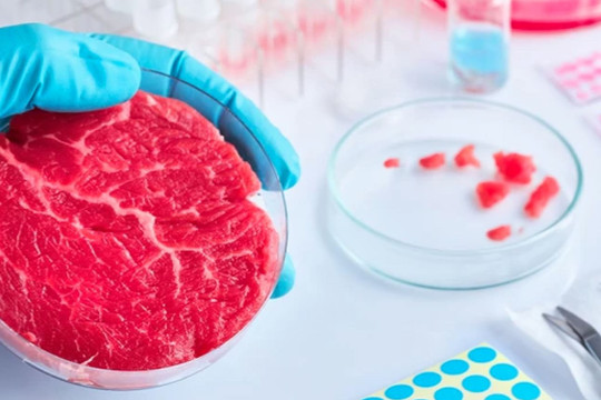Cảnh báo những nguy hiểm từ việc sản xuất thịt nuôi cấy trong phòng thí nghiệm