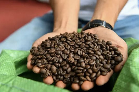 El Nino có thể làm tăng giá cà phê