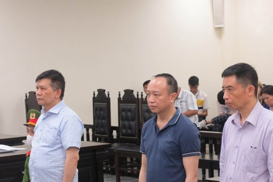 Cựu Chủ tịch VEAM Trần Ngọc Hà lĩnh 3 năm tù trong vụ án thứ hai