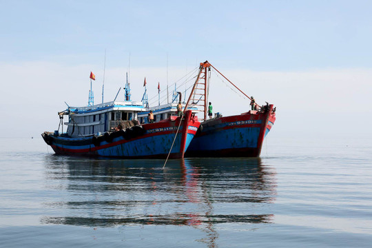Hà Tĩnh: Bắt giữ 4 tàu giã cào khai thác hải sản sai quy định