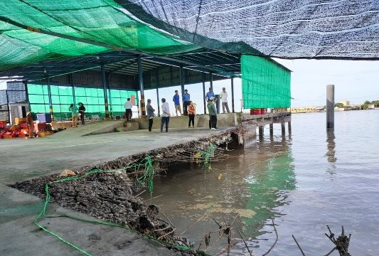 Bạc Liêu: Sạt lở nhà xưởng chế biến bột cá, thiệt hại hơn 5 tỉ đồng