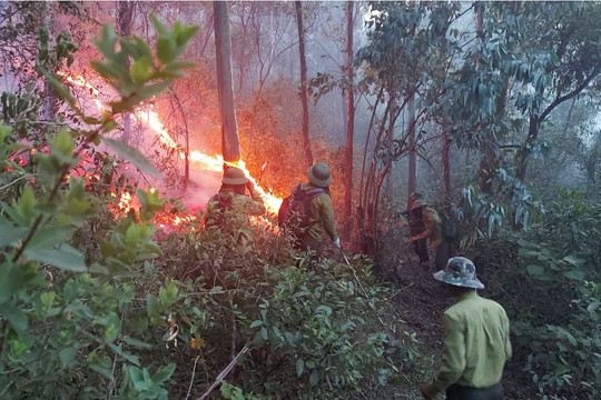 Huyện Nam Đàn thông tin chính thức về vụ cháy 10 héc ta rừng