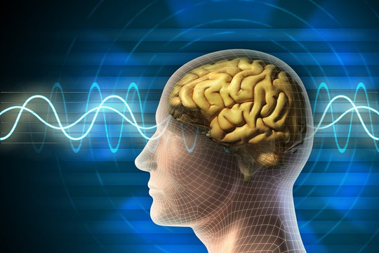 Phát hiện mới về mối tương quan giữa tốc độ xử lý của não bộ và trí thông minh