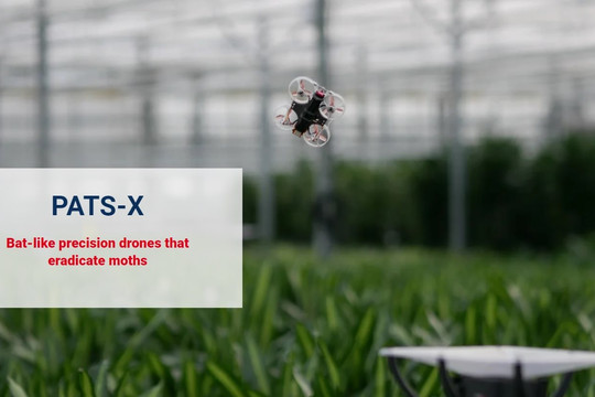 UAV loại bỏ côn trùng gây hại trong nhà kính