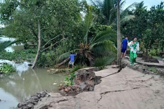 Tiền Giang: 3 ngày mưa bão, 5 điểm ven sông của một ấp bị sạt lở nghiêm trọng 