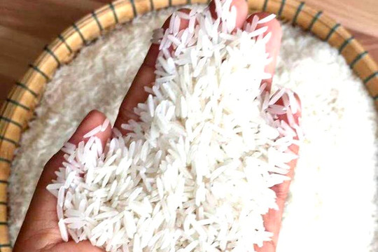 Giá gạo Việt Nam tăng kỷ lục, sắp vượt 600 USD/tấn