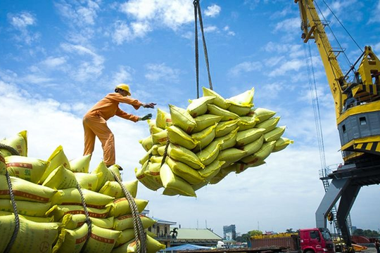 Điều kiện kinh doanh khiến giá gạo Việt tăng, khó xuất khẩu hơn