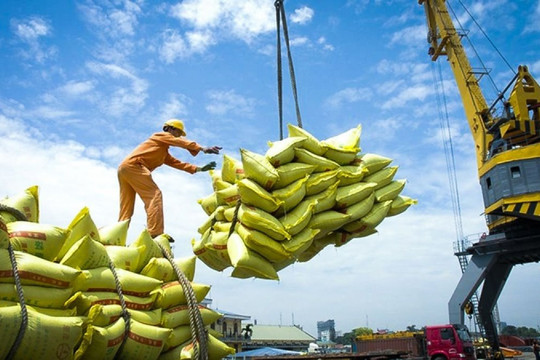 Gạo phục vụ xuất khẩu của Việt Nam năm 2023 có thể hơn 9 triệu tấn
