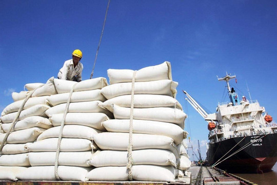 Giá lúa gạo tăng cao, Thủ tướng chỉ đạo 'nóng'