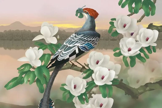 Phát hiện thú vị về loài chim trong thời kỳ đầu tiến hóa từ khủng long