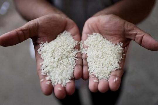 Giá gạo tăng gây thêm sức ép lên lạm phát thực phẩm tại Philippines