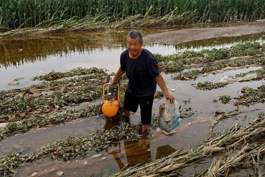 Nỗi lo lạm phát lương thực toàn cầu tăng cao vì lũ lụt tại Trung Quốc