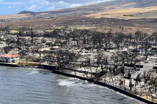 Cháy rừng tại Hawaii: Số người chết lên đến gần 100