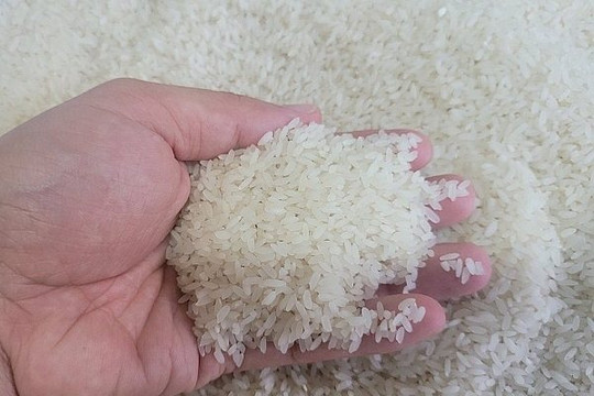 Bộ Công Thương chỉ đạo 'nóng' về xuất khẩu, ổn định thị trường gạo
