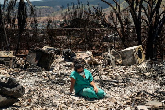Số người chết trong vụ cháy rừng ở Hawaii lên 110 người