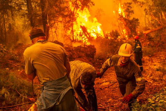 Sự nóng lên toàn cầu làm gia tăng những vụ cháy rừng lớn