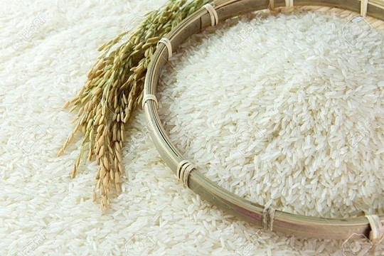 'Giữ chân' giá lúa gạo trong nước khi giá xuất khẩu tăng vọt